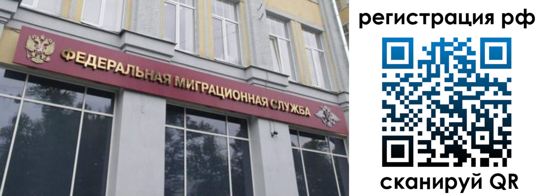 прописка законно в Могочи